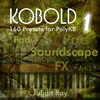 KOBOLD 1