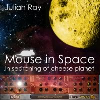 Mouse in Space
