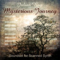 Mysterious Journey